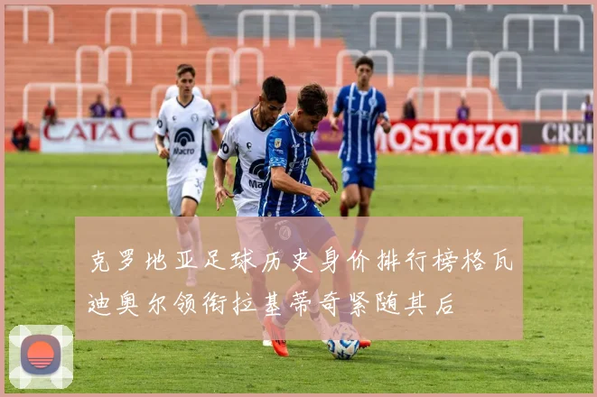克罗地亚足球历史身价排行榜格瓦迪奥尔领衔拉基蒂奇紧随其后