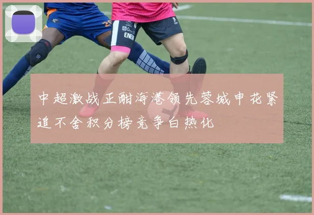 中超激战正酣海港领先蓉城申花紧追不舍积分榜竞争白热化