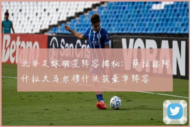 北非足球明星阵容揭秘：萨拉赫阿什拉夫马尔穆什共筑豪华阵容